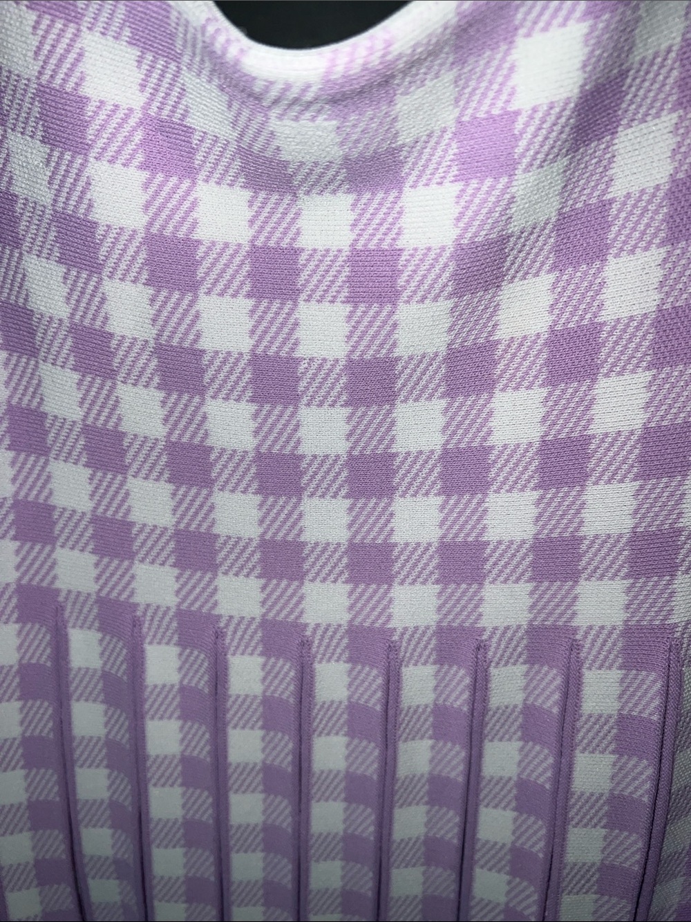 Aleeza Paris Lavender Gingham Pleated Midi Skirt - Picture 7 of 8